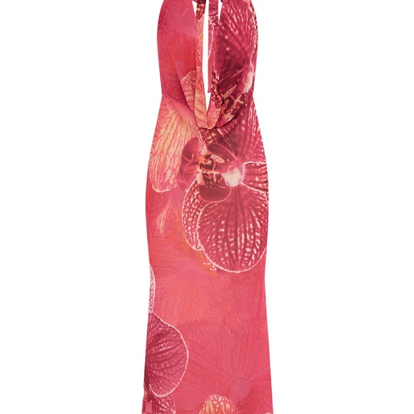 Runaway the Label Lexie Maxi Dress in Isabel Pink - Picture 4 of 4